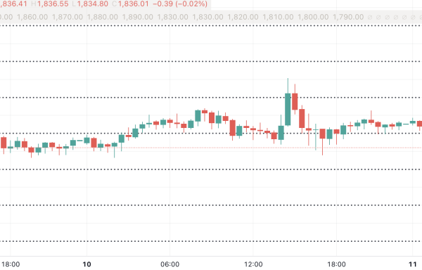 Pips Lines Helper